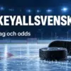 Hockeyallsvenskan – format, lag och odds i Sveriges näst högsta hockeyserie