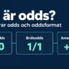 Vad är odds? Så fungerar odds och oddsformat